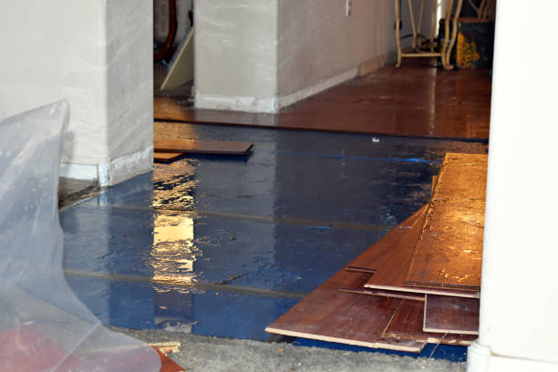 Professional Burst Pipe Cleanup technician working in Manchaca, TX